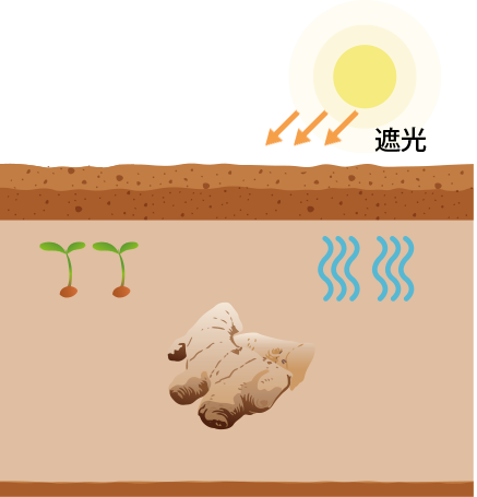 こだわり3